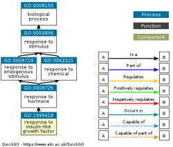 DAG for GO:1990418