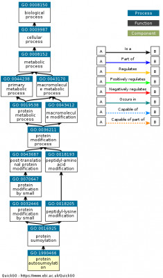 DAG for GO:1990466