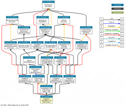 DAG for GO:2000102