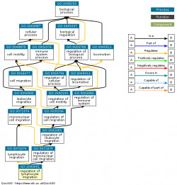 DAG for GO:2000401