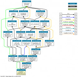 DAG for GO:2000522