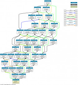 DAG for GO:2000711