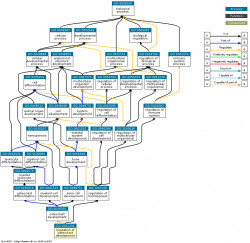 DAG for GO:2001204