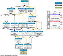 DAG for GO:2001260