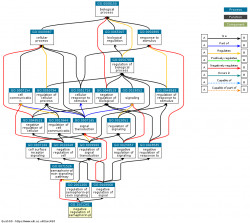 DAG for GO:2001261