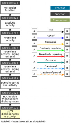 DAG for GO:0004170