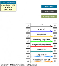 DAG for GO:0006184