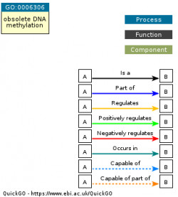 DAG for GO:0006306