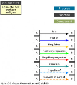 DAG for GO:0016171