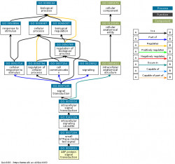 DAG for GO:0032011