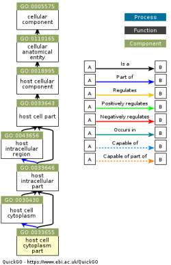DAG for GO:0033655