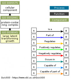 DAG for GO:0038045