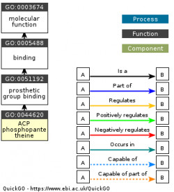 DAG for GO:0044620