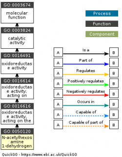 DAG for GO:0050120