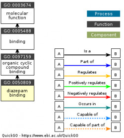 DAG for GO:0050809