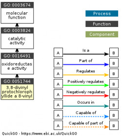 DAG for GO:0051744