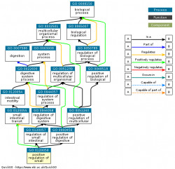 DAG for GO:0120058