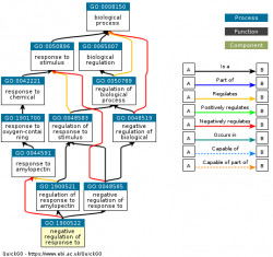 DAG for GO:1900522