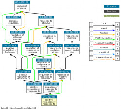 DAG for GO:1901033
