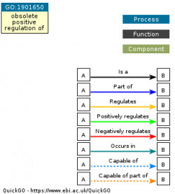 DAG for GO:1901650