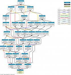 DAG for GO:1902810