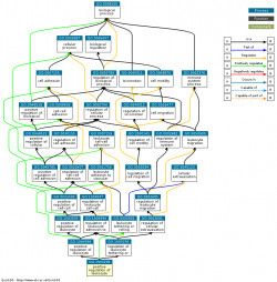 DAG for GO:1903238
