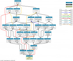 DAG for GO:1904810