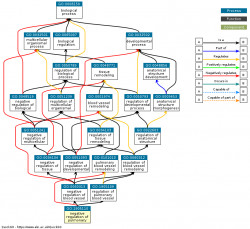 DAG for GO:1905110