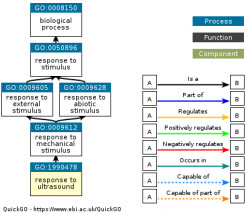 DAG for GO:1990478