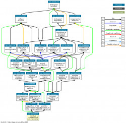 DAG for GO:2000052