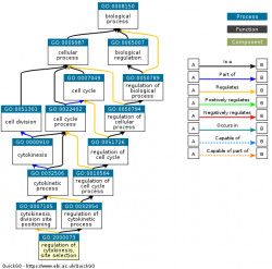 DAG for GO:2000073