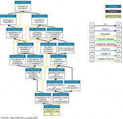 DAG for GO:2000169