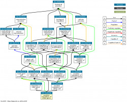 DAG for GO:2000256