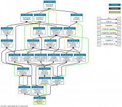 DAG for GO:2000611