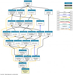 DAG for GO:2000746