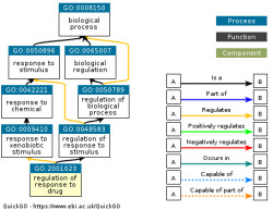 DAG for GO:2001023