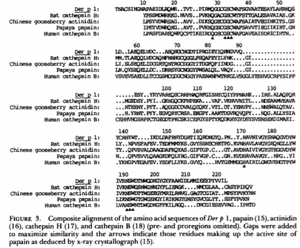 ISA example.jpg