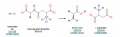 beta-aspartyl-dipeptidase.jpg